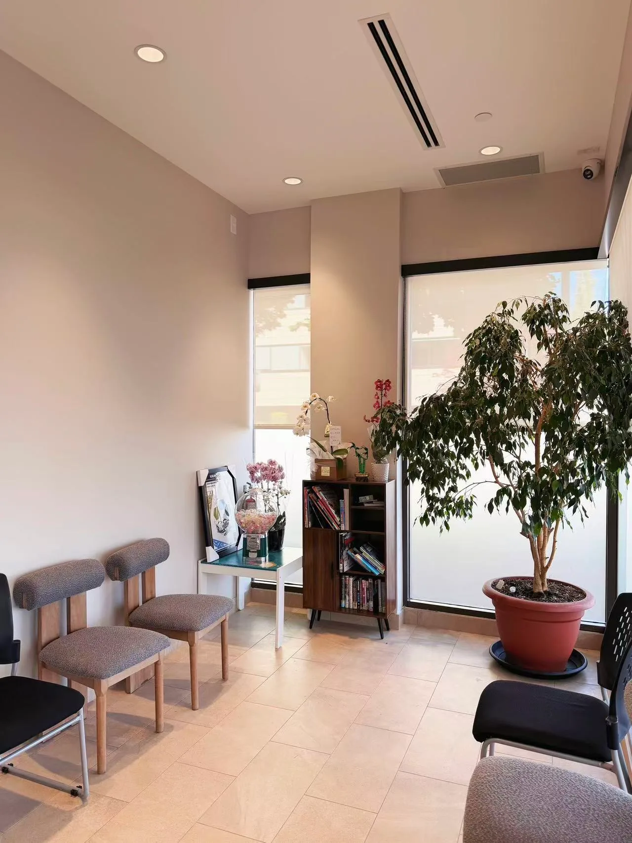 Window-side seating in the clinic waiting area.